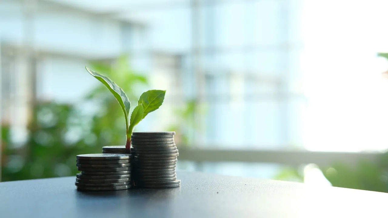 Stacks of coins growing taller beside a small plant, representing compounding growth